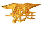 (robloxs defence team) robloxs navy seals