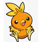 TORCHIC SQUAD!!