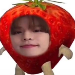 stan seungmin