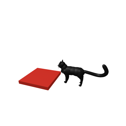 Cat black morph