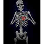 X_Xbrains