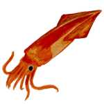 asapalec