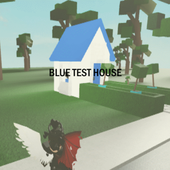 Blue test house