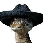 COBRA TOMA Group Thumbnail
