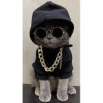 Catzzzzx