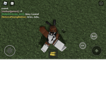 Roblox....robuxxxxxx