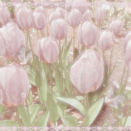 ♡
