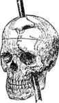 fortnight brainrot gamers