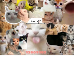 Tluang Gang
