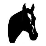 The best of horses club