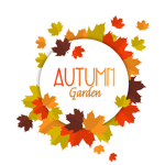 Autumn Garden