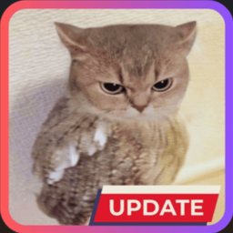 [NEW] 🐈Cat Owl Obby🦉