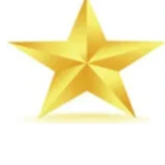 The roblox video star program