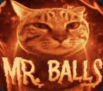 Balls & Jaws