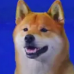 Tofu dog supporter