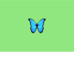 -Butterfly group-