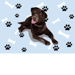 Puppy Productions!