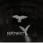 Xvidx
