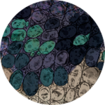 PRISMATIC Malachite Sarcosuchus Unlocked!
