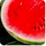 Watermelon_baddies :P