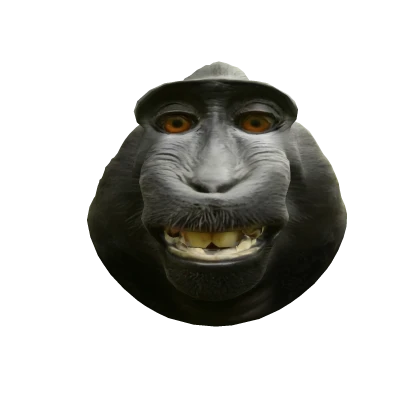 Funny Monkey Head Roblox item render
