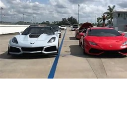 corvette and lamborghini icon