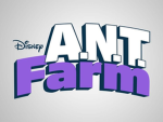 Ants Farm