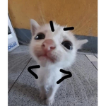 CokieOwO
