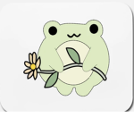 Strawberry froggys I love frogs