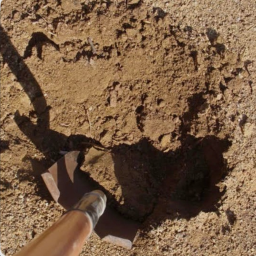 dig a hole to find fossils