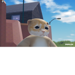 Liviemerch
