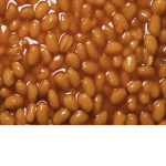 THE SMOL BEANSS GROUP