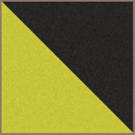 Tenth Light Horse Regiment, AIF