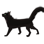 Warrior cats film group!
