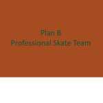 Plan B Professional Skate Team