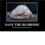 The Blob fish