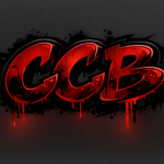313xCCB