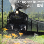 The Ōigawa Railway / 大井川鐵道