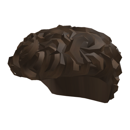 Curly Wavy Hair Roblox item