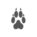 The Paw family