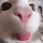 games by calico Group Thumbnail