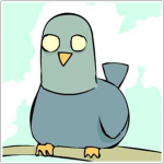 pigeon..squad