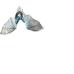 XANFOOL