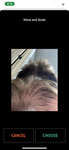Chase kile fanclub