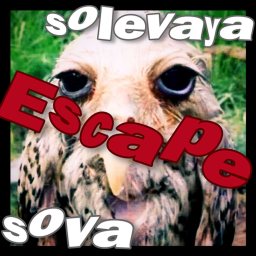 solevaya sova escape