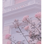 Beautiful Blossoms Boutique