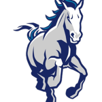 Dallas Mustangs