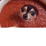 Dog in kechup