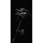 Official flowers group