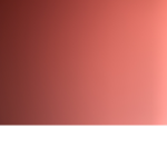 [BB] The Beef Barn